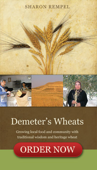 Book Coming Soon: Demeter's Wheats