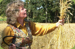 Sharon Rempel, Heritage Wheat Expert